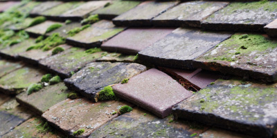 Clun roof repair costs